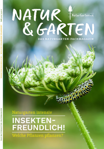 Natur&Garten 3/2023 - Insektenfreundlich! Welche Pflanzen pflanzen?