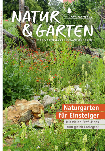 Natur&amp;Garten 4/2020 - Naturgarten für Einsteiger