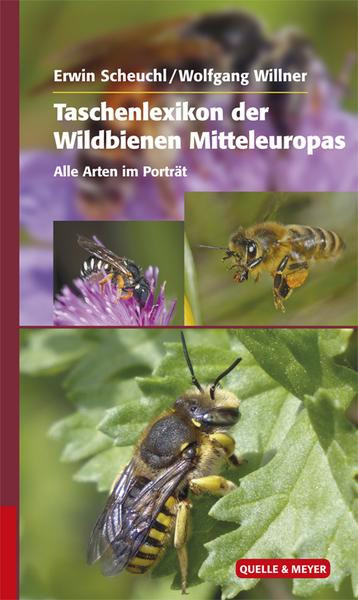 Taschenlexikon der Wildbienen Europas: Alle Arten im Porträt