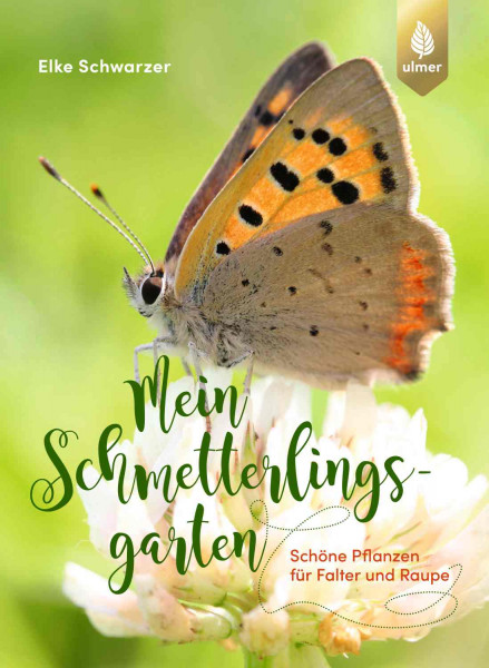 Mein Schmetterlingsgarten - Schöne Pflanzen für Falter und Raupe