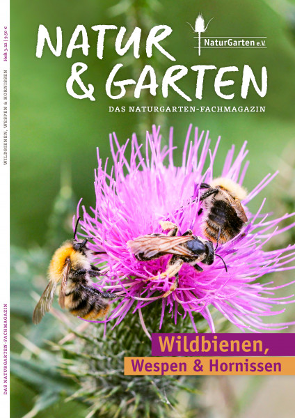 Natur&Garten 3/2022 - Wildbienen, Wespen & Hornissen