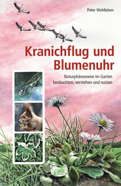 Kranichflug und Blumenuhr - Naturphänomene im Garten beobachten, verstehen und nutzen