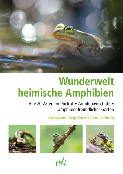 Wunderwelt heimische Amphibien - Alle 20 Arten im Porträt • Amphibienschutz • amphibienfreundlicher
